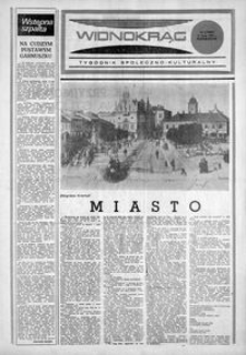 Widnokrąg : tygodnik społeczno-kulturalny. 1984, nr 31 (31 lipca)