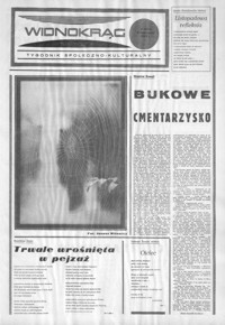 Widnokrąg : tygodnik społeczno-kulturalny. 1982, nr 9 (3 listopada)