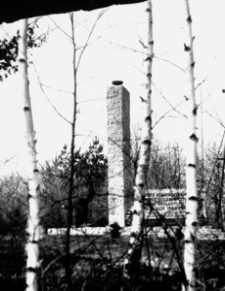 [Pustków pow. dębicki. Pomnik „Pamięci pomordowanych przez hitlerowców w obozie zagłady Pustków w latach 1940-1944” nr 1] [Fotografia]