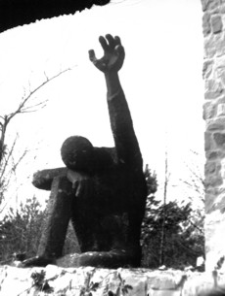 [Pustków pow. dębicki. Pomnik „Pamięci pomordowanych przez hitlerowców w obozie zagłady Pustków w latach 1940-1944” nr 5] [Fotografia]