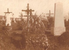 [Grób Juliusza Lampla na cmentarzu w Wels] [Fotografia]
