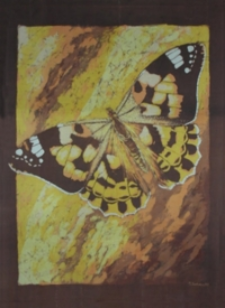 Motyl I [Obraz]